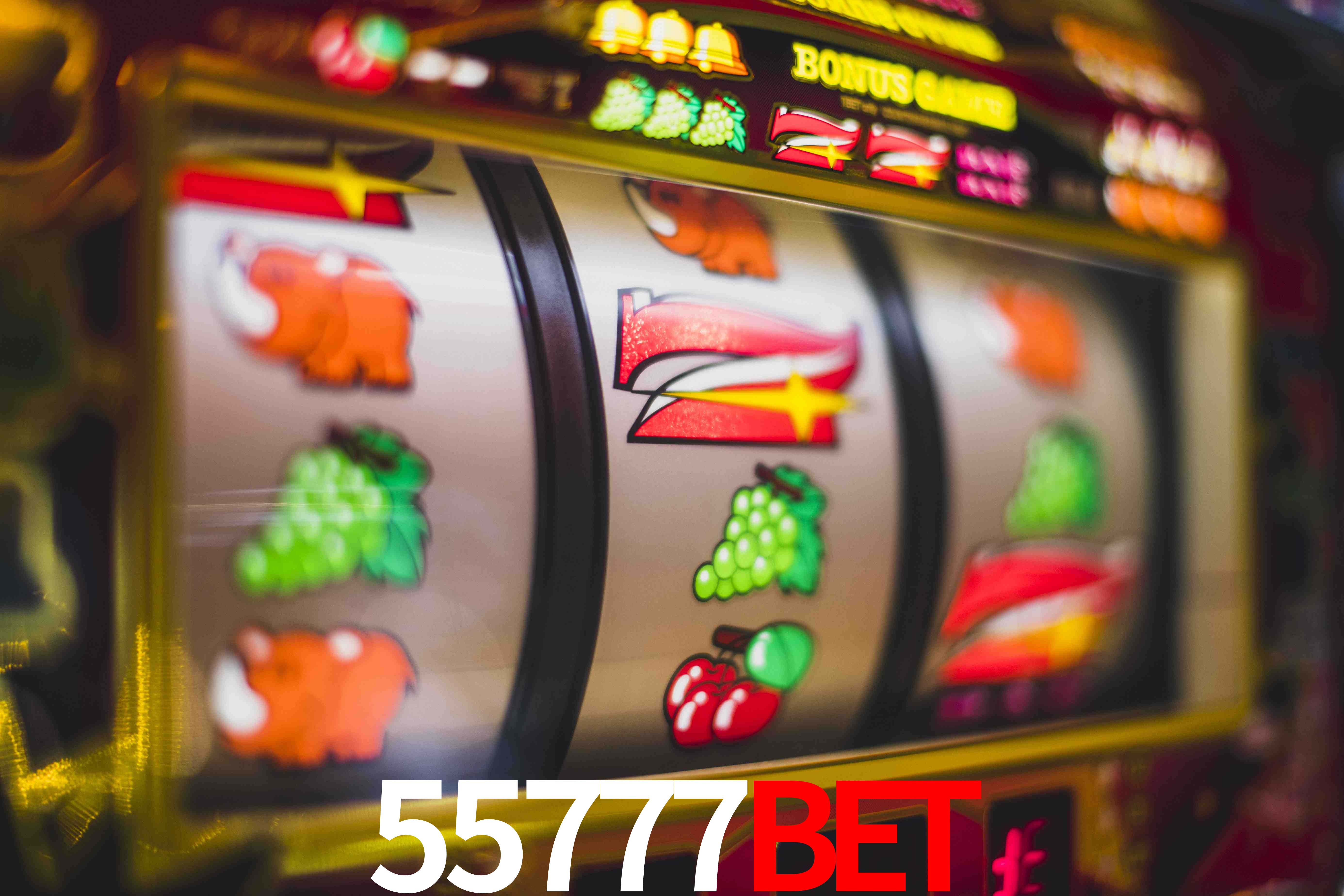 Crash Games Statistics 55777BET